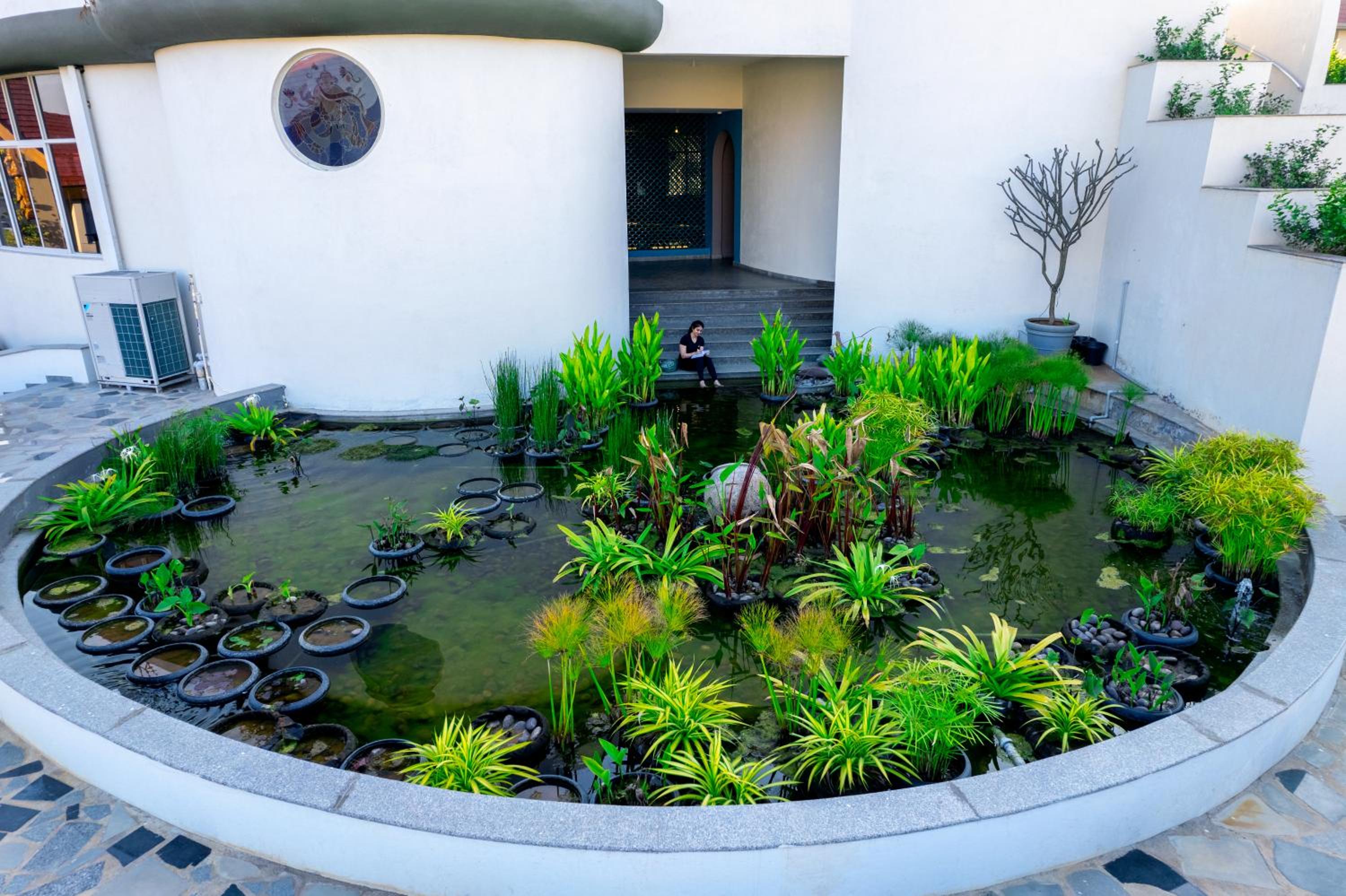 Kshemavana The Wellness Retreat