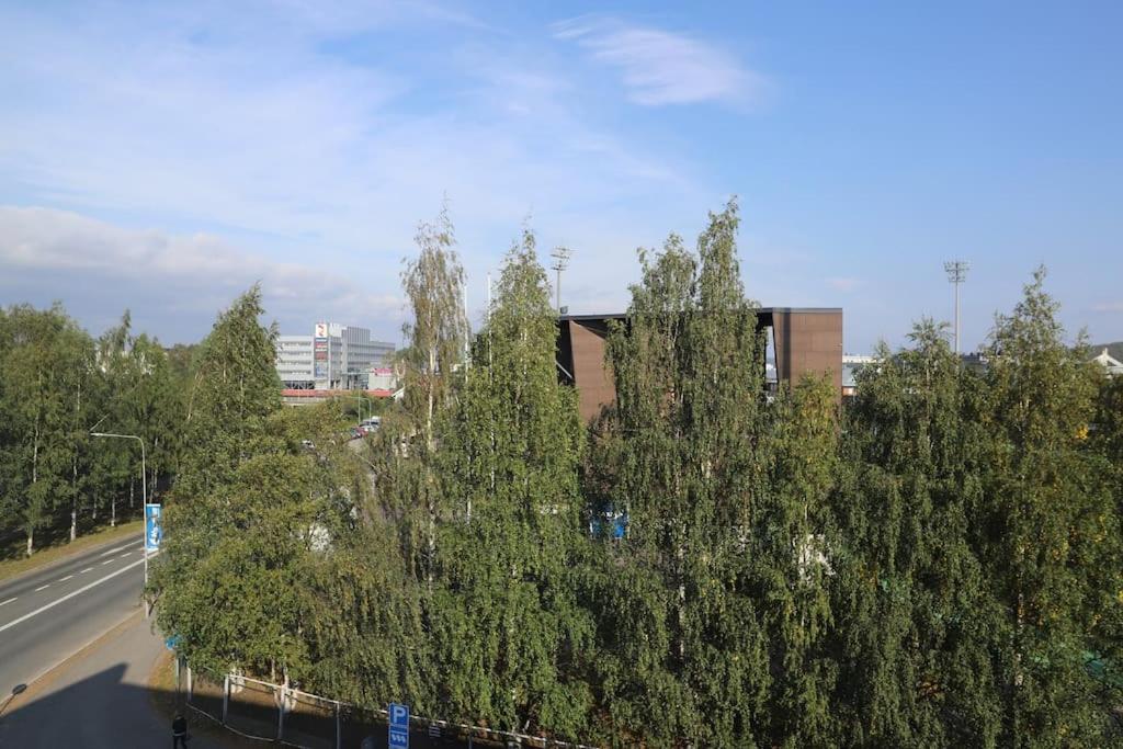 Photo 23