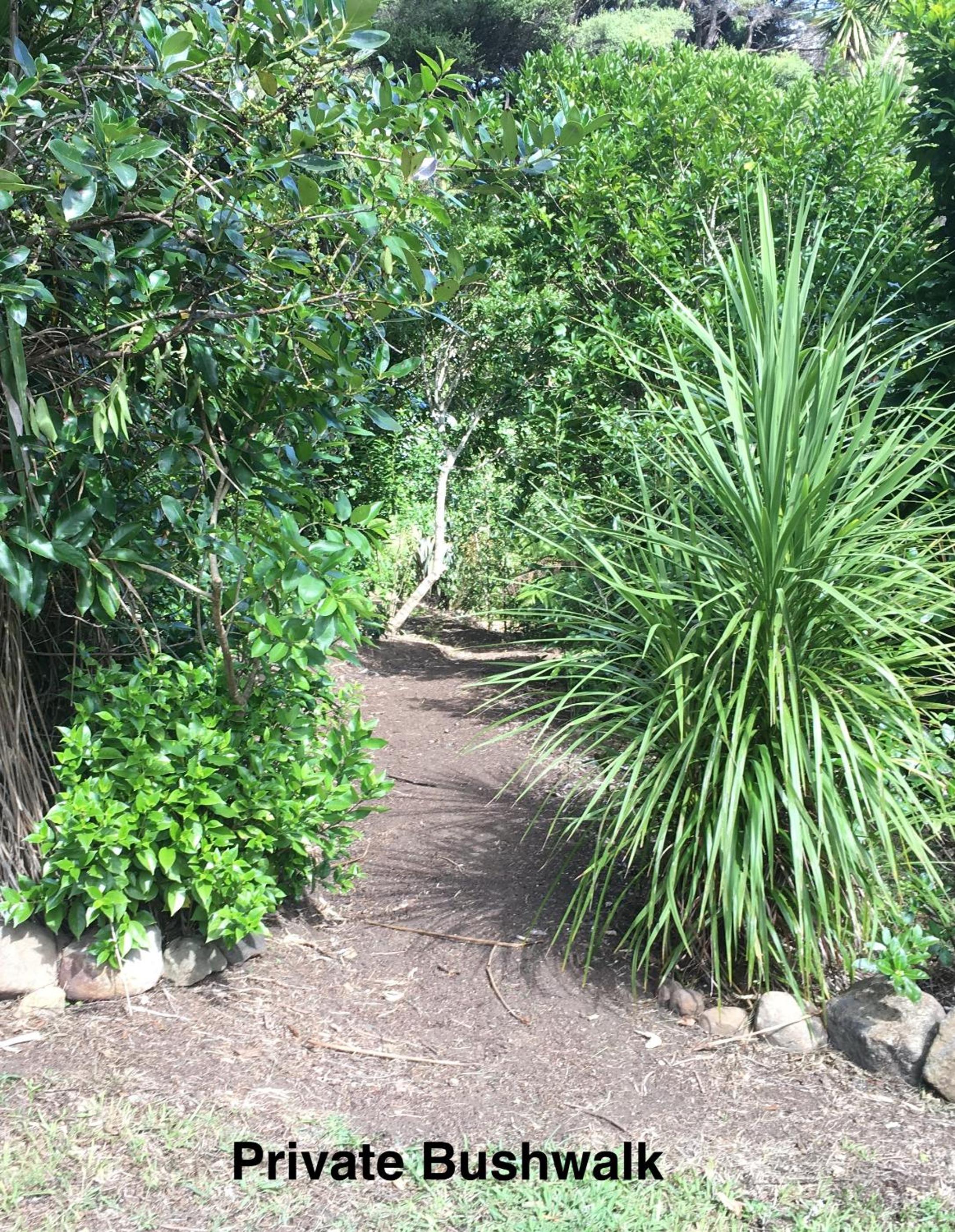 Photo 31