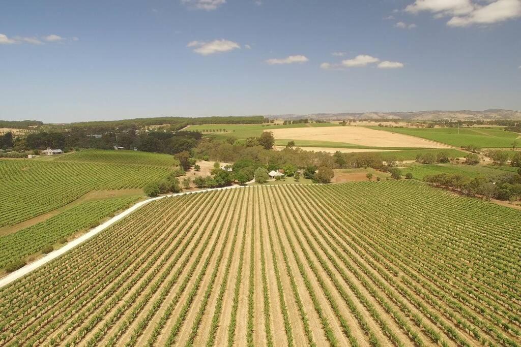 Seppeltsfield Vineyard Cottage Luxury Romantic Getaway