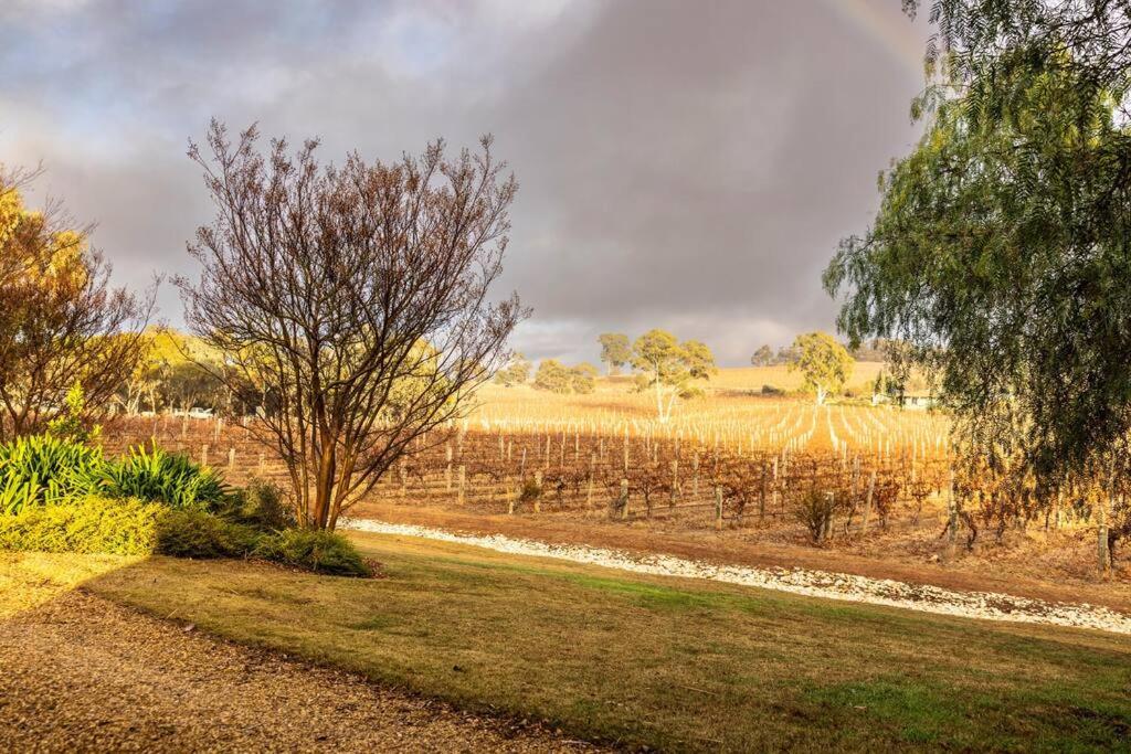 Seppeltsfield Vineyard Cottage Luxury Romantic Getaway