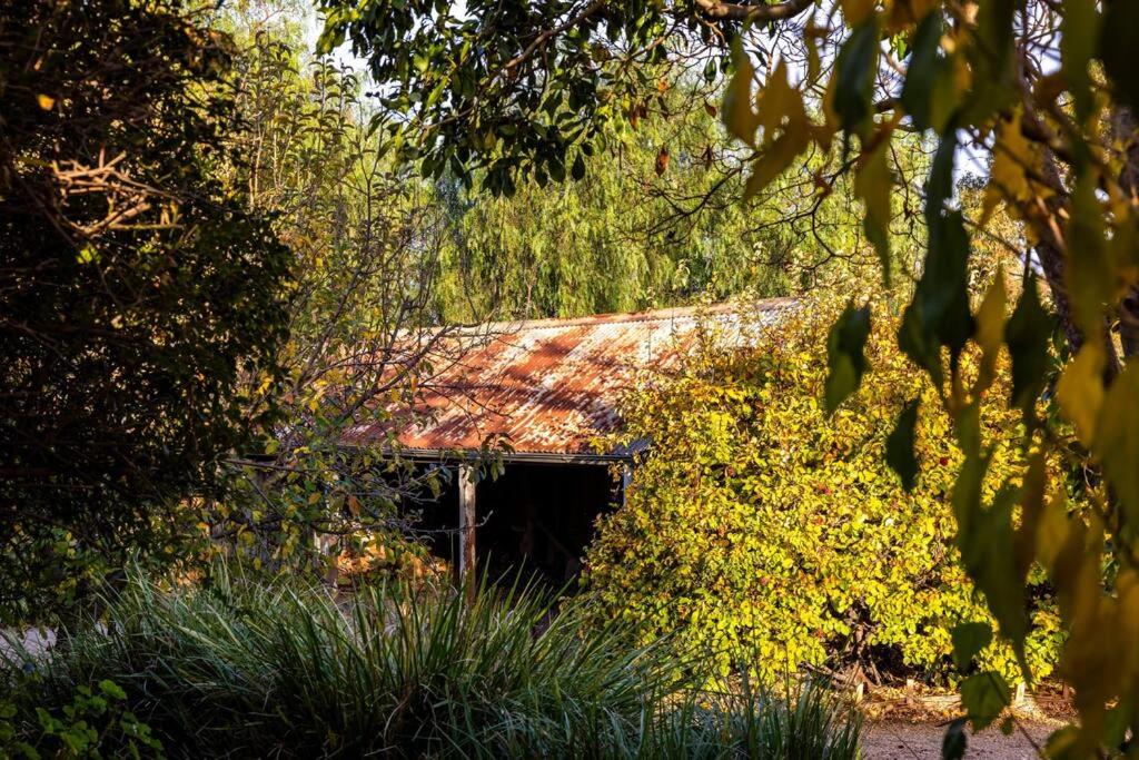 Seppeltsfield Vineyard Cottage Luxury Romantic Getaway