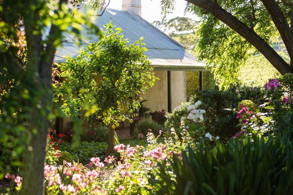 Seppeltsfield Vineyard Cottage Luxury Romantic Getaway