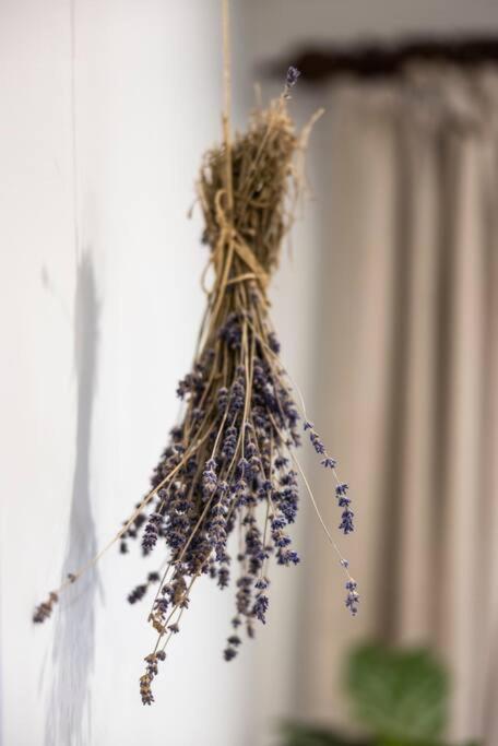 Seppeltsfield Vineyard Cottage Luxury Romantic Getaway