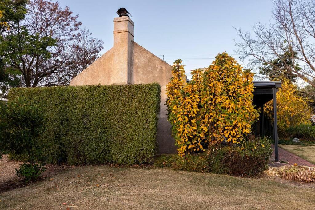Seppeltsfield Vineyard Cottage Luxury Romantic Getaway