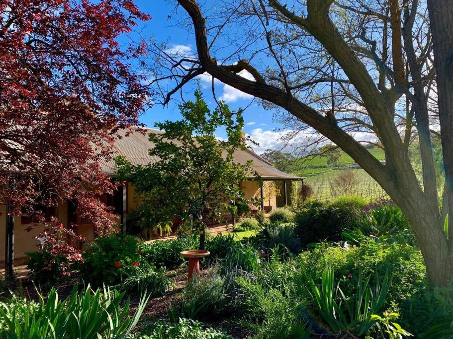 Seppeltsfield Vineyard Cottage Luxury Romantic Getaway