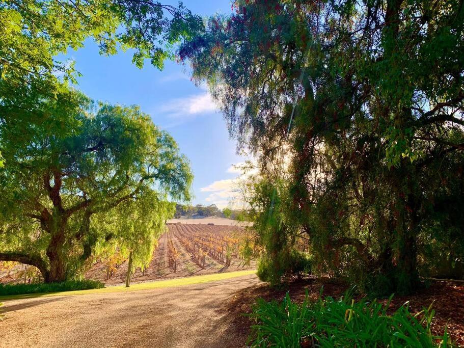 Seppeltsfield Vineyard Cottage Luxury Romantic Getaway