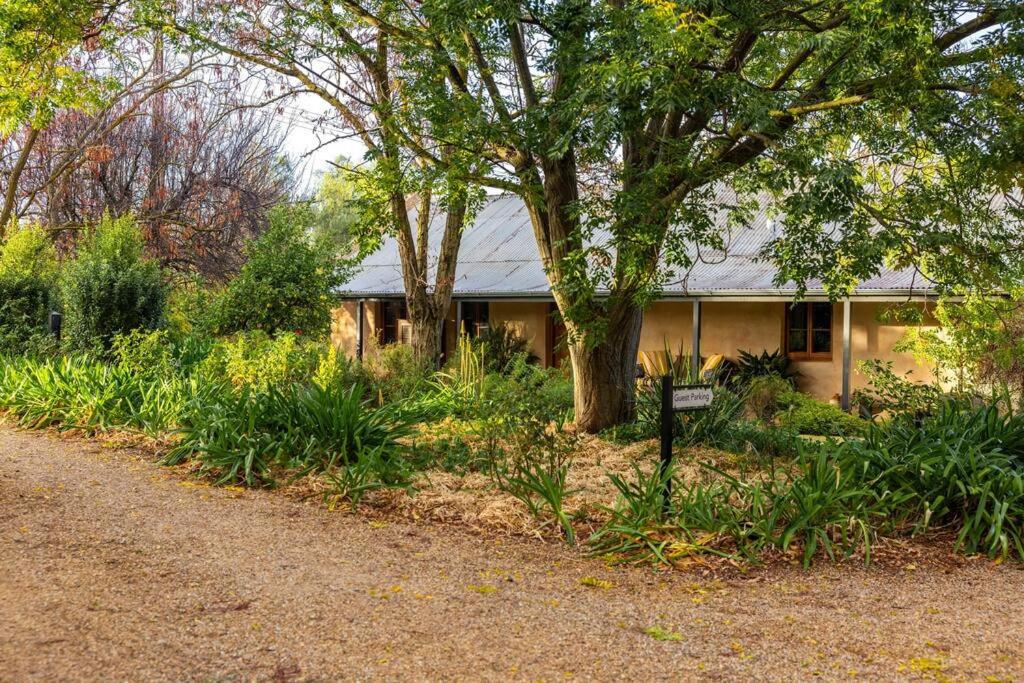 Seppeltsfield Vineyard Cottage Luxury Romantic Getaway