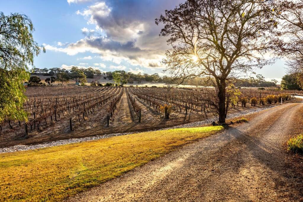 Seppeltsfield Vineyard Cottage Luxury Romantic Getaway