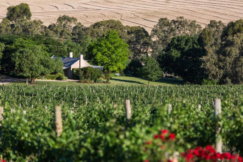Seppeltsfield Vineyard Cottage Luxury Romantic Getaway