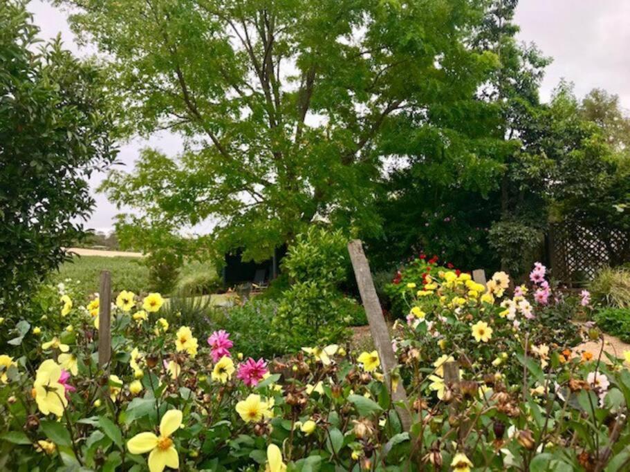 Seppeltsfield Vineyard Cottage Luxury Romantic Getaway