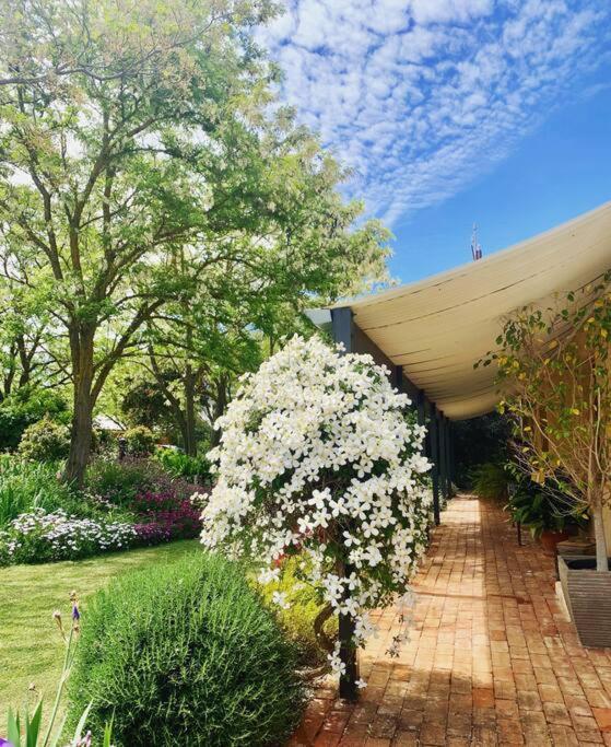Seppeltsfield Vineyard Cottage Luxury Romantic Getaway