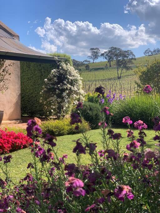 Seppeltsfield Vineyard Cottage Luxury Romantic Getaway