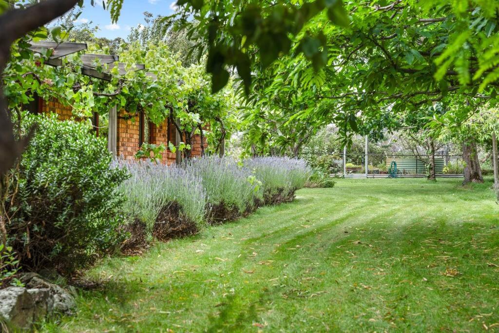 Big Yard Farm - Snowy Mountains