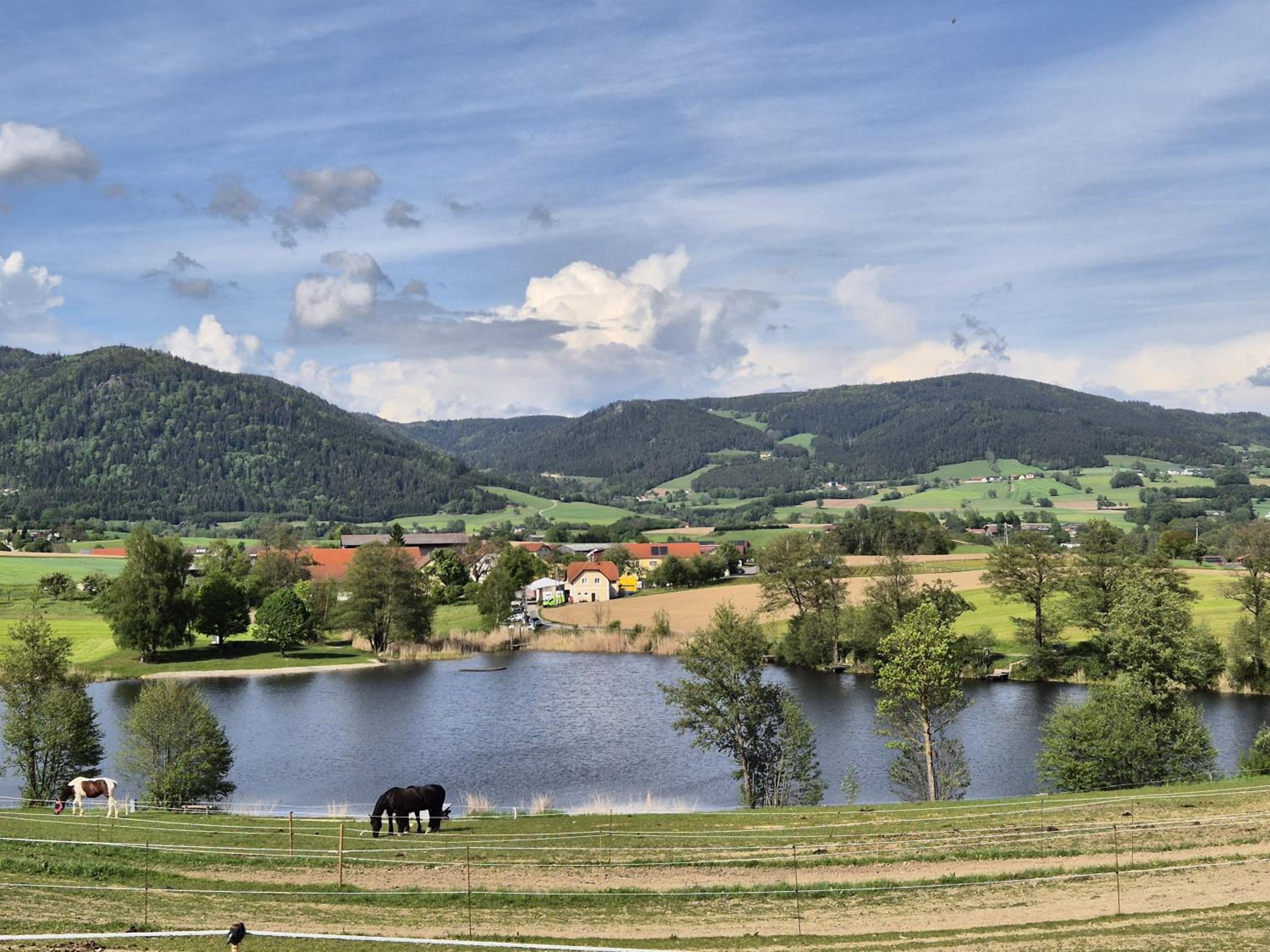 Bewegung in Ruhe