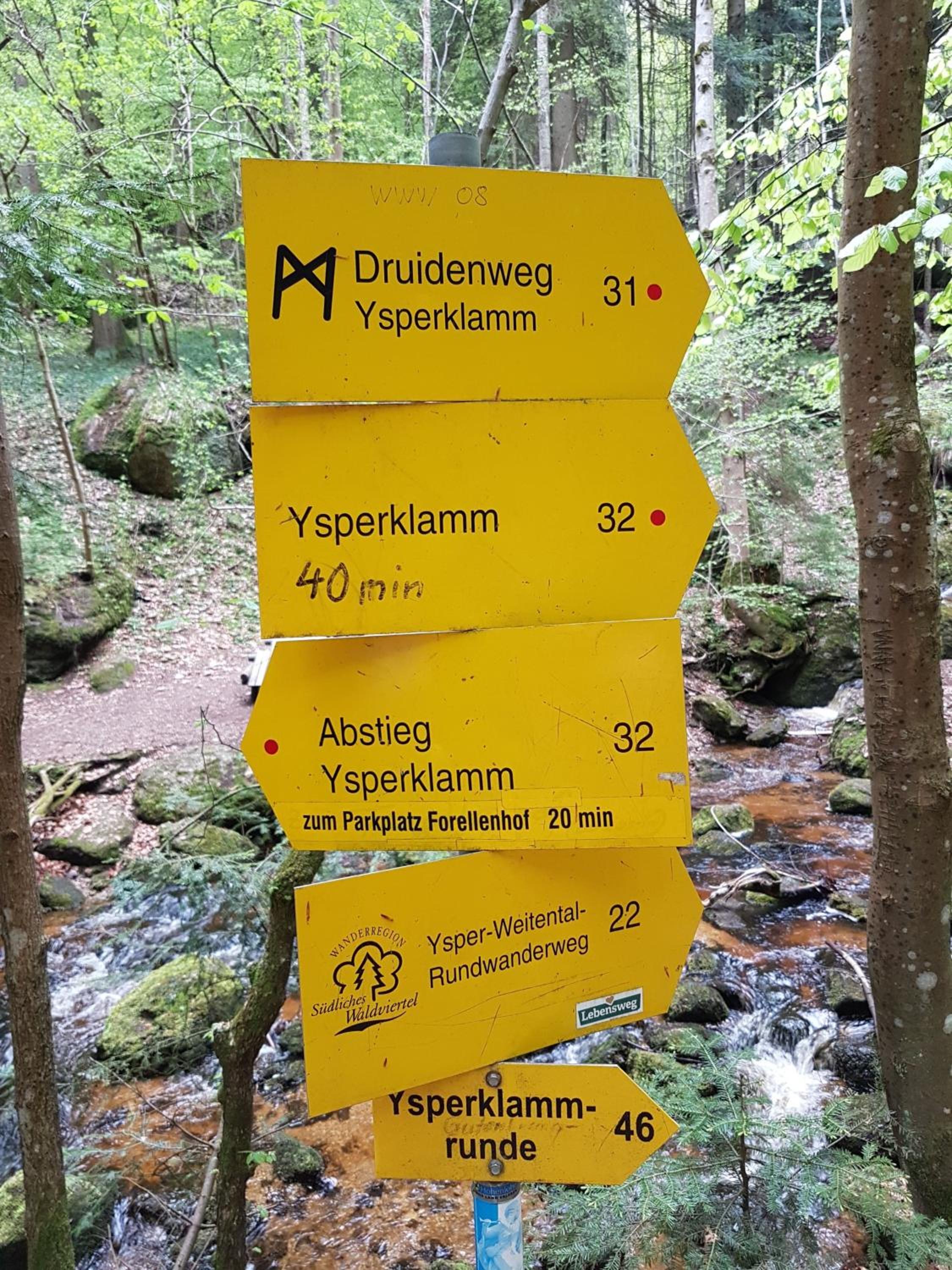 Bewegung in Ruhe