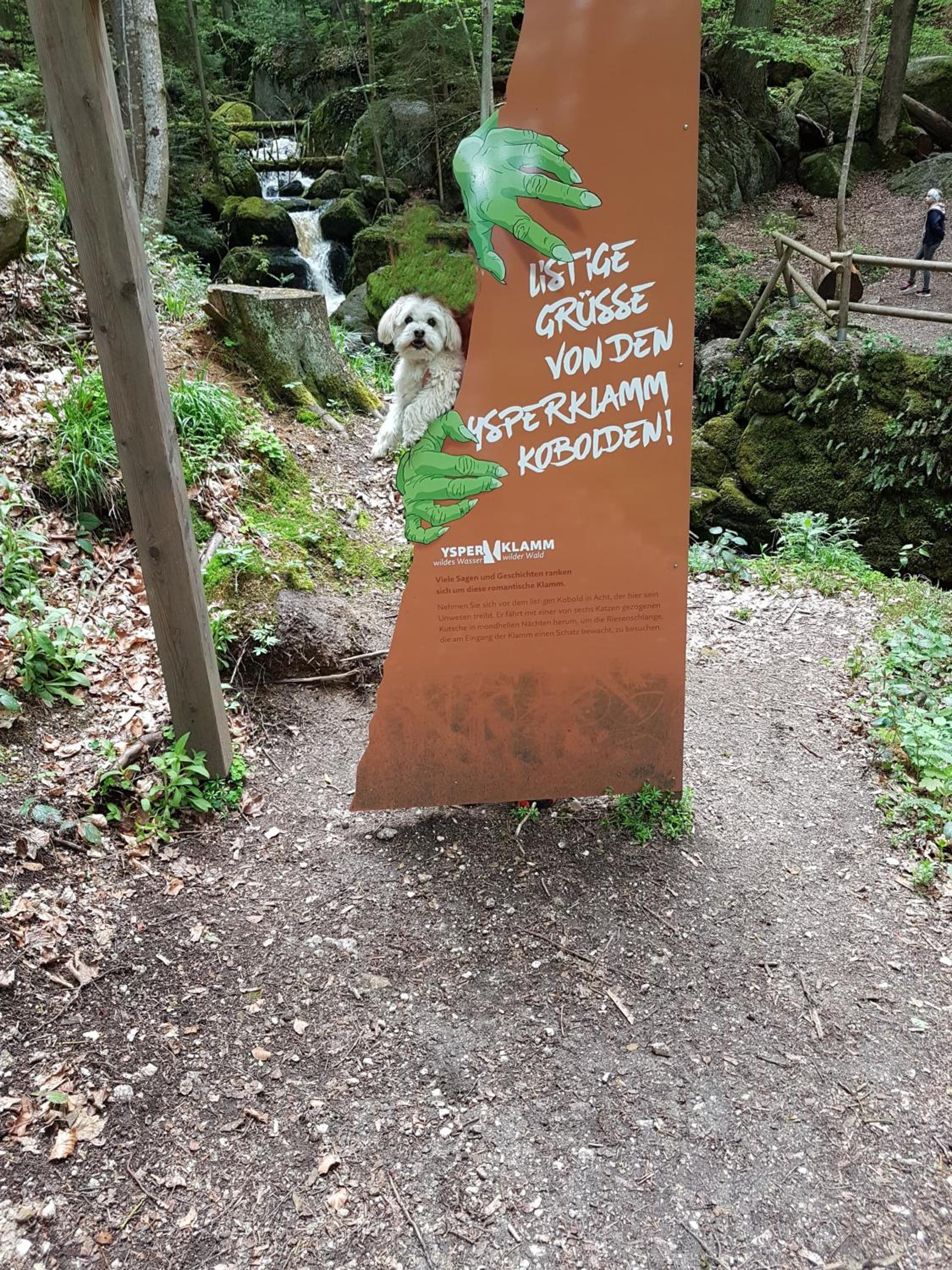 Bewegung in Ruhe