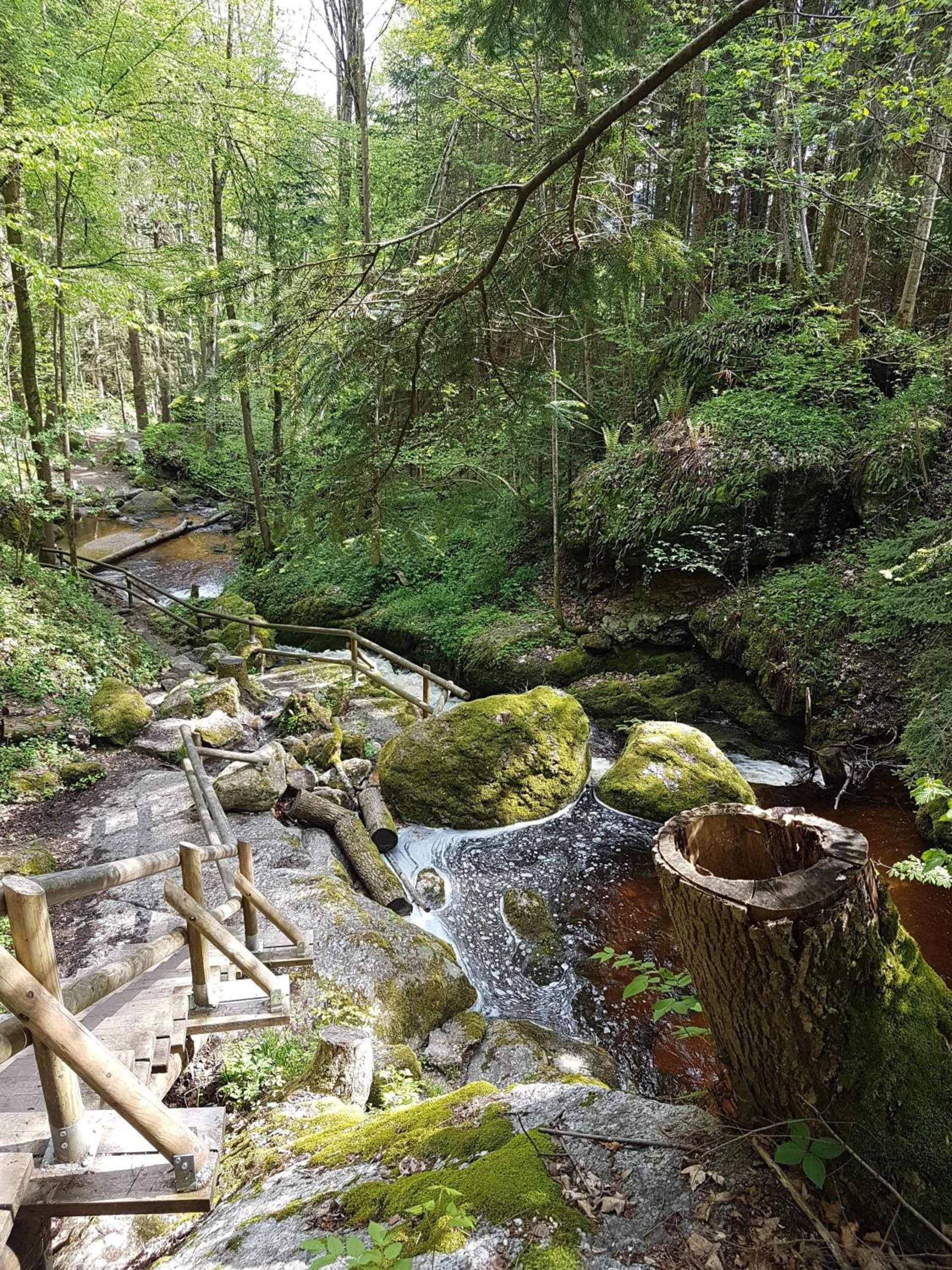 Bewegung in Ruhe