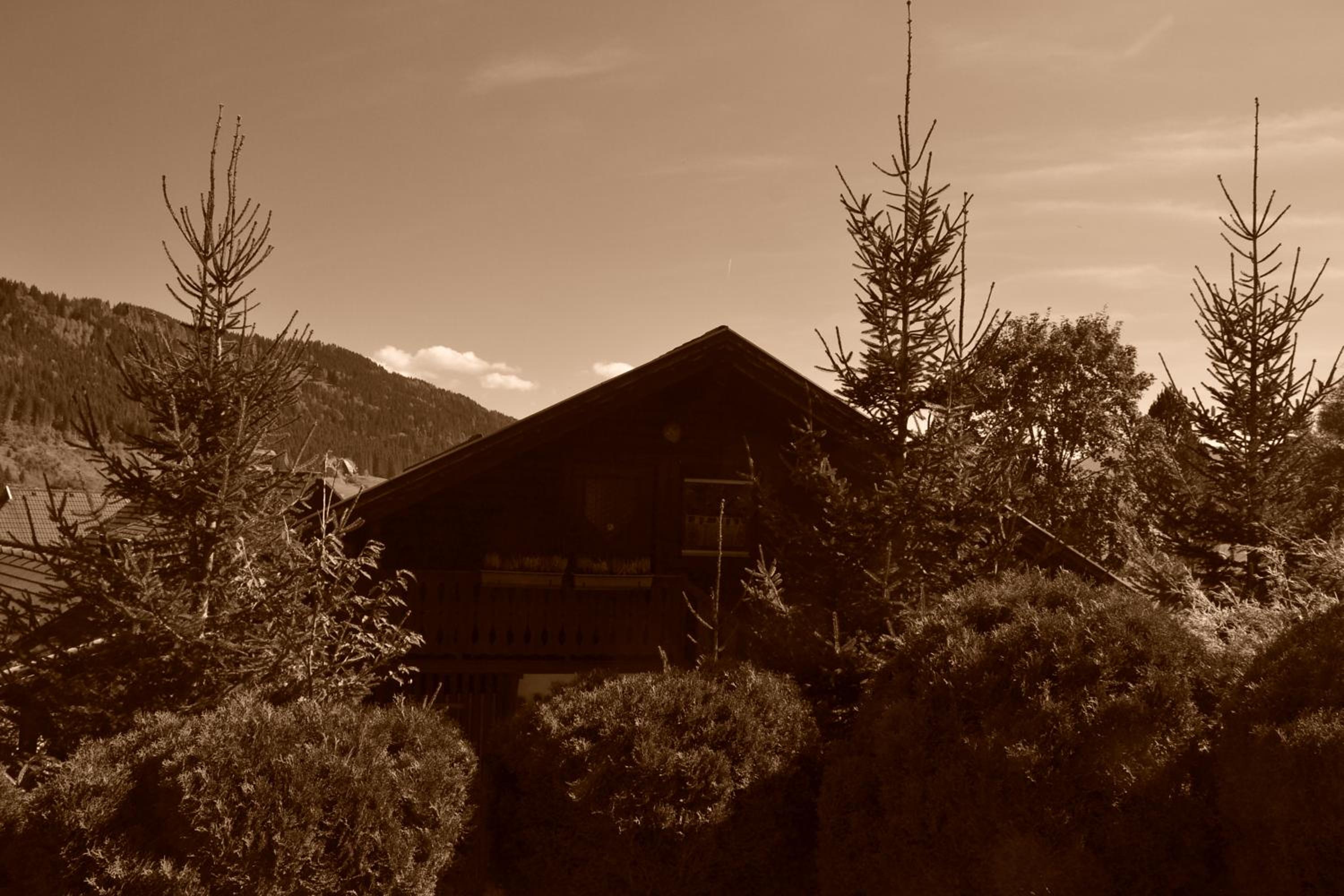Eden Apartment