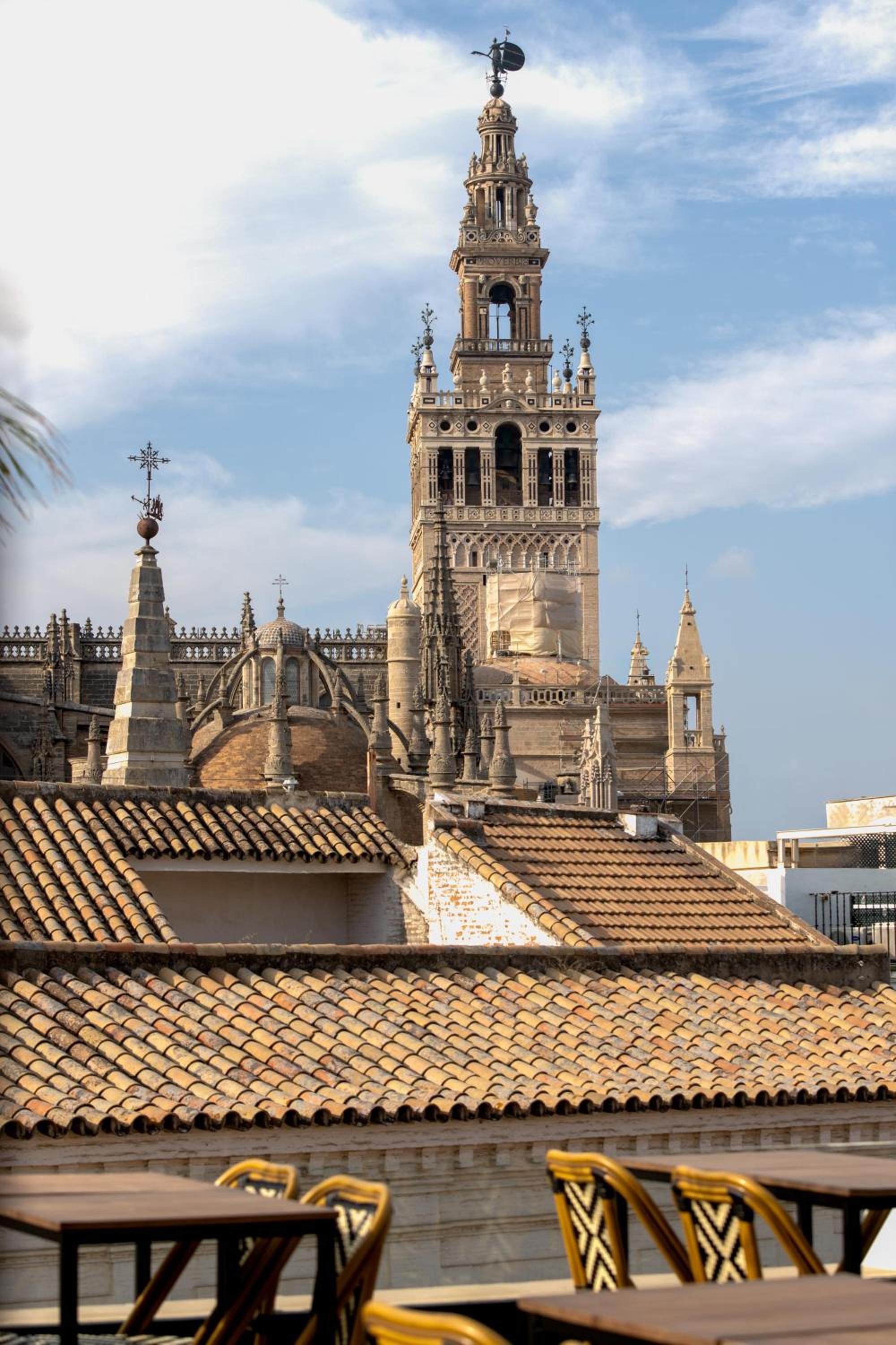 roof
