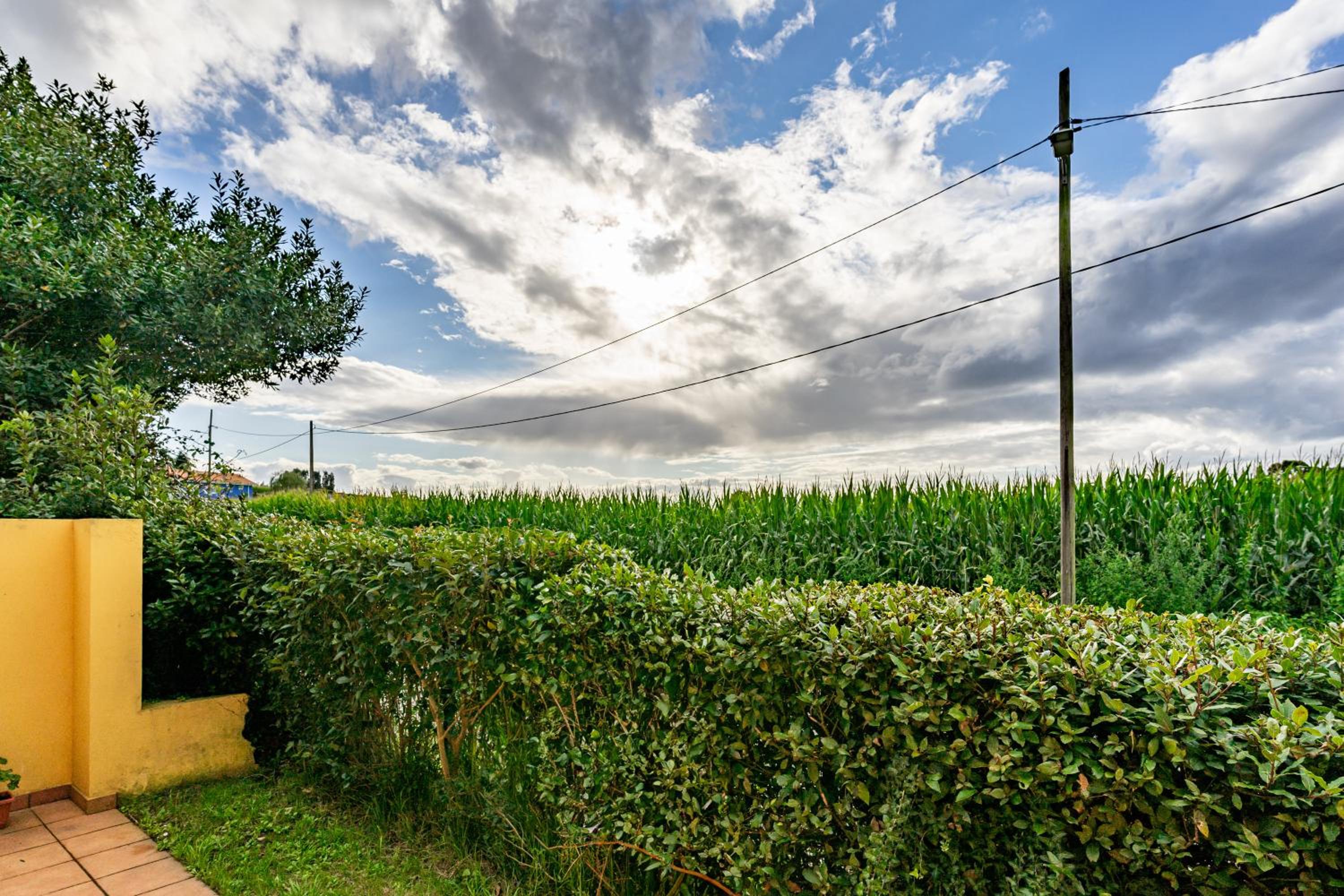 Apto Naranja - Casa el gaitero view 5