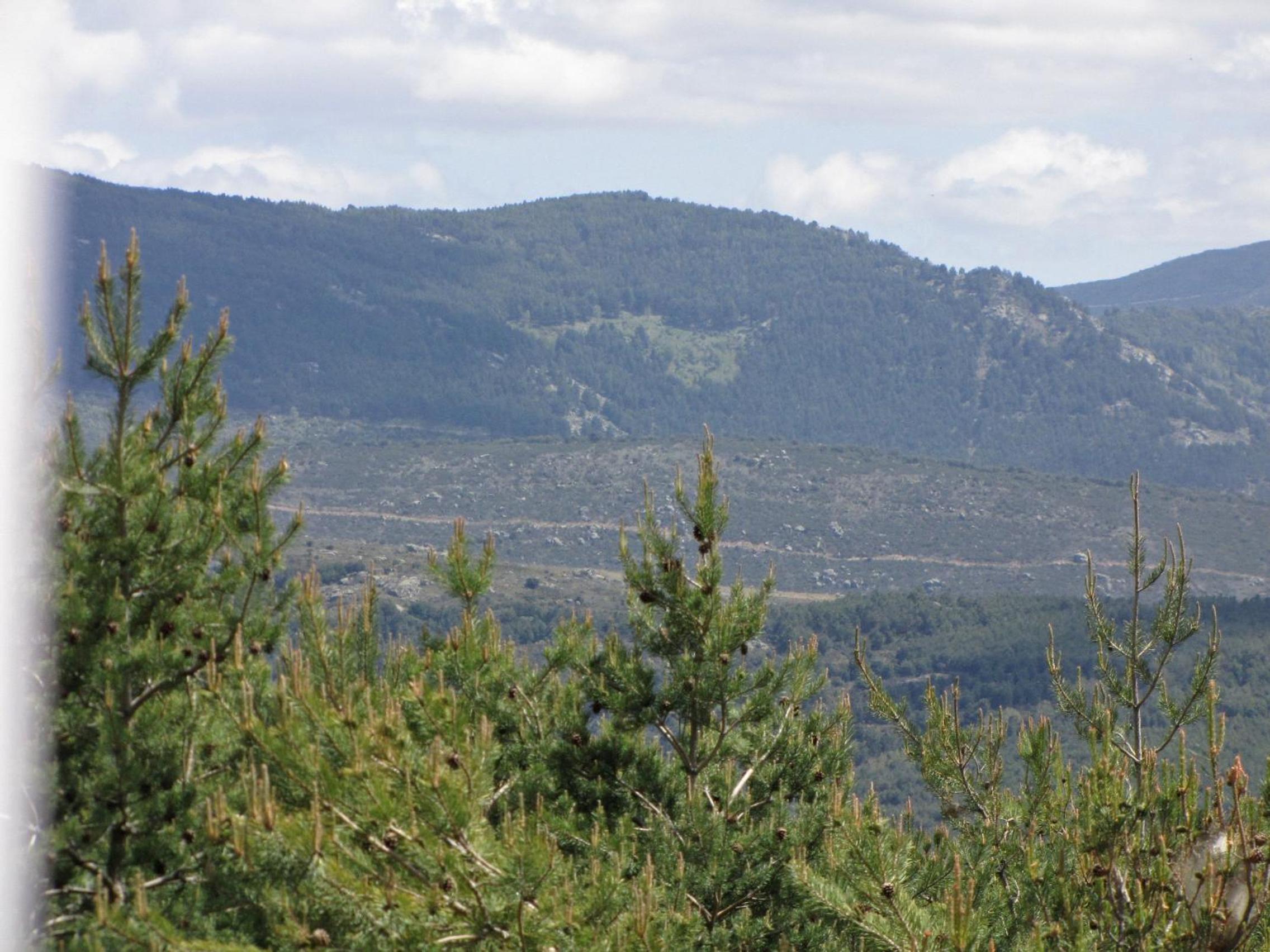 El Mirador de Tortoles