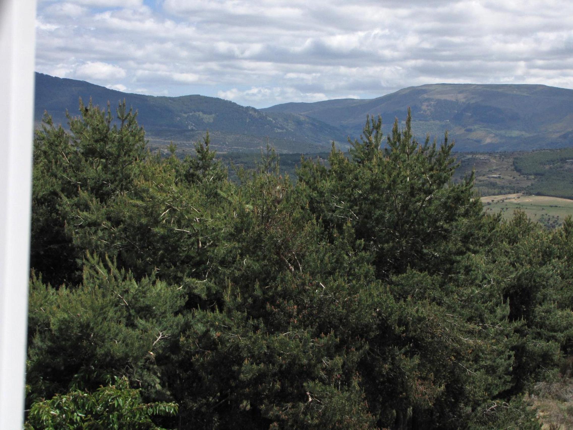 El Mirador de Tortoles