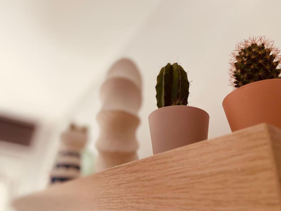 Apartamento LaNegrita
