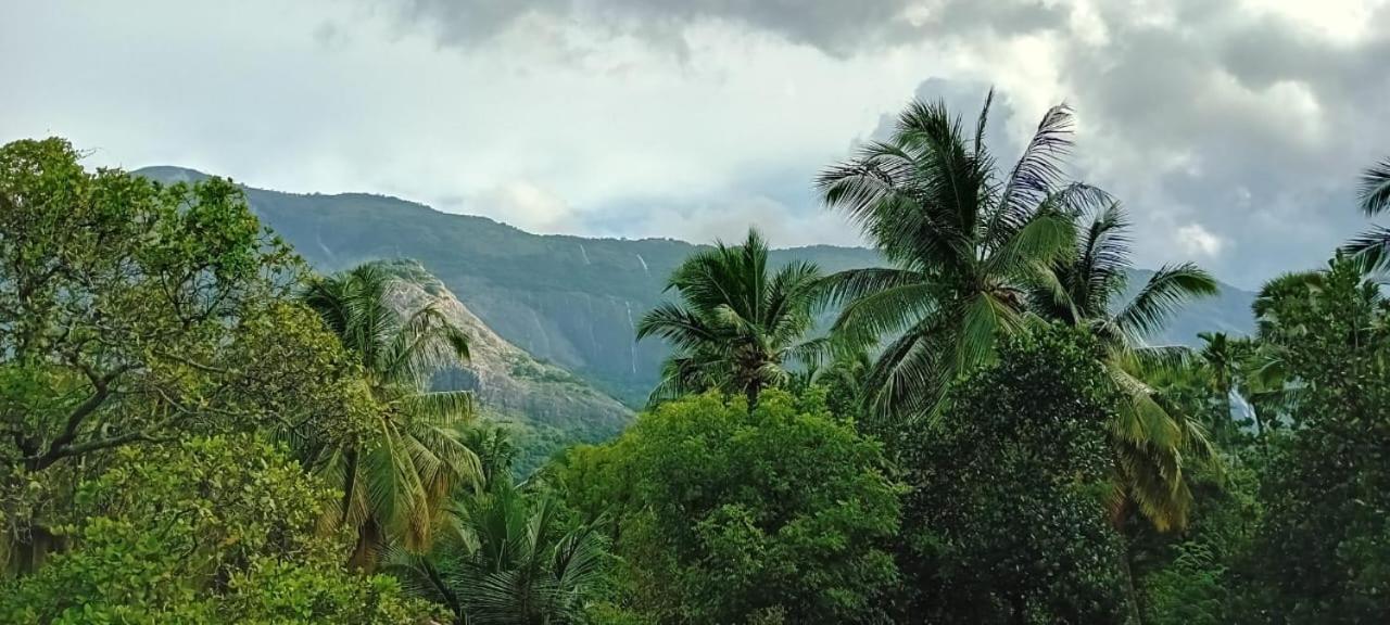 Sradha Farm Stay - Kollengode view 3