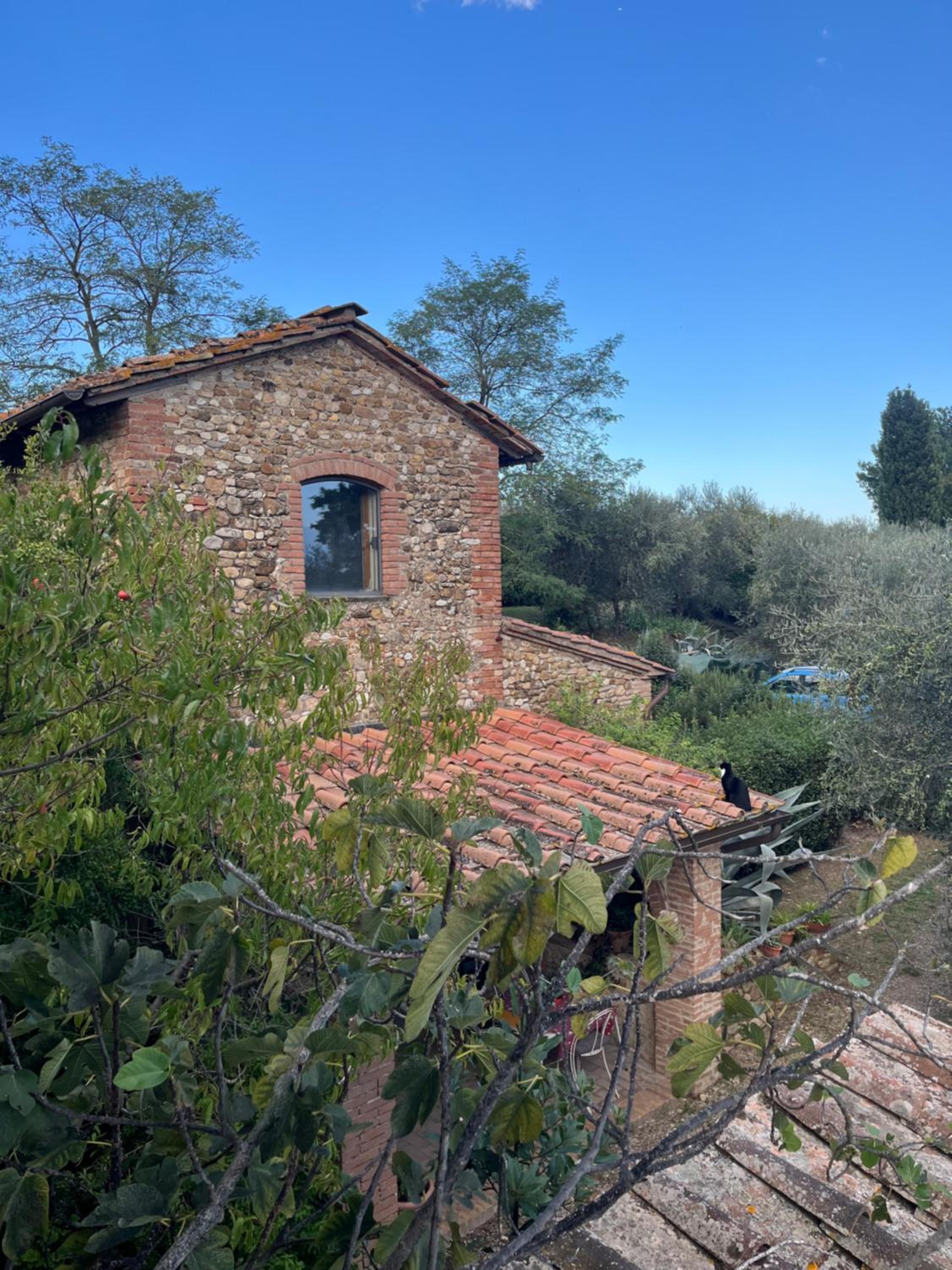 Podere Il Sodo view 2