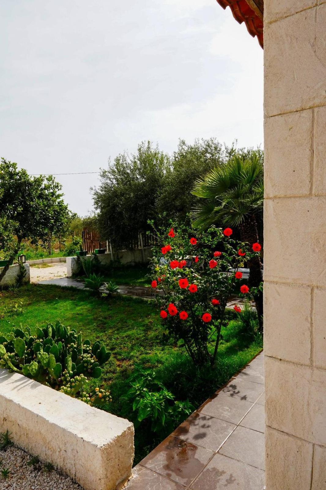 Villa Cirica view 5