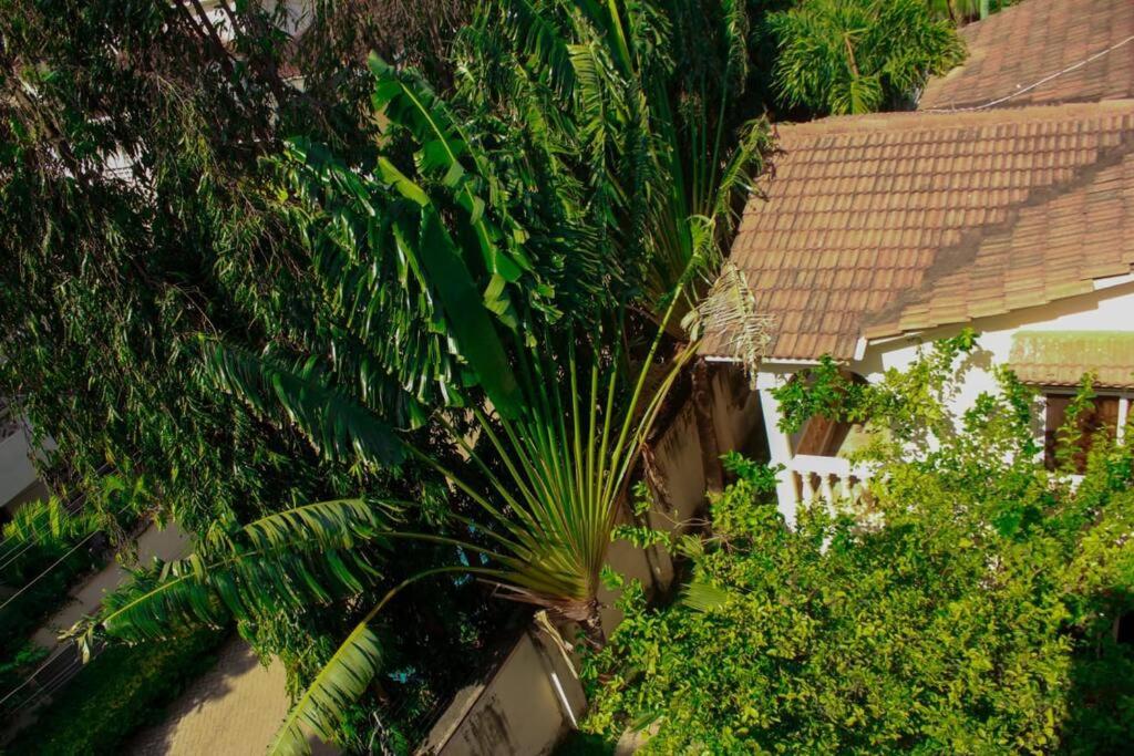 Twiga Road Apartment