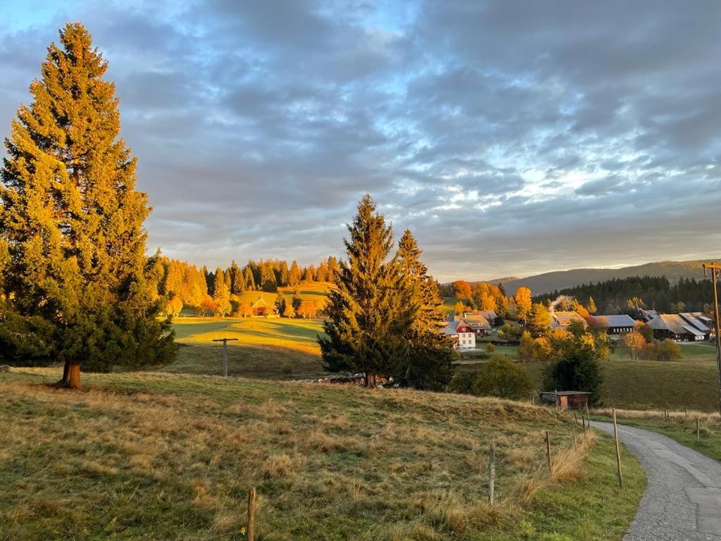 Große gemütliche Ferienwohnung in Schwarzwaldhof