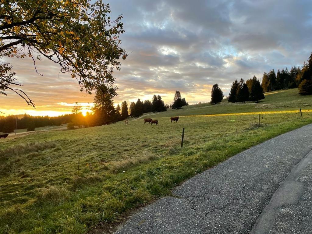 Große gemütliche Ferienwohnung in Schwarzwaldhof