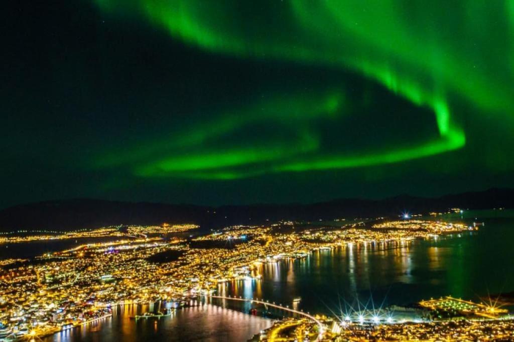 Lys og koselig leilighet nært flyplass og tur terreng view 4