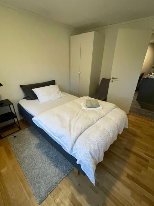 Lys og koselig leilighet nært flyplass og tur terreng view 5