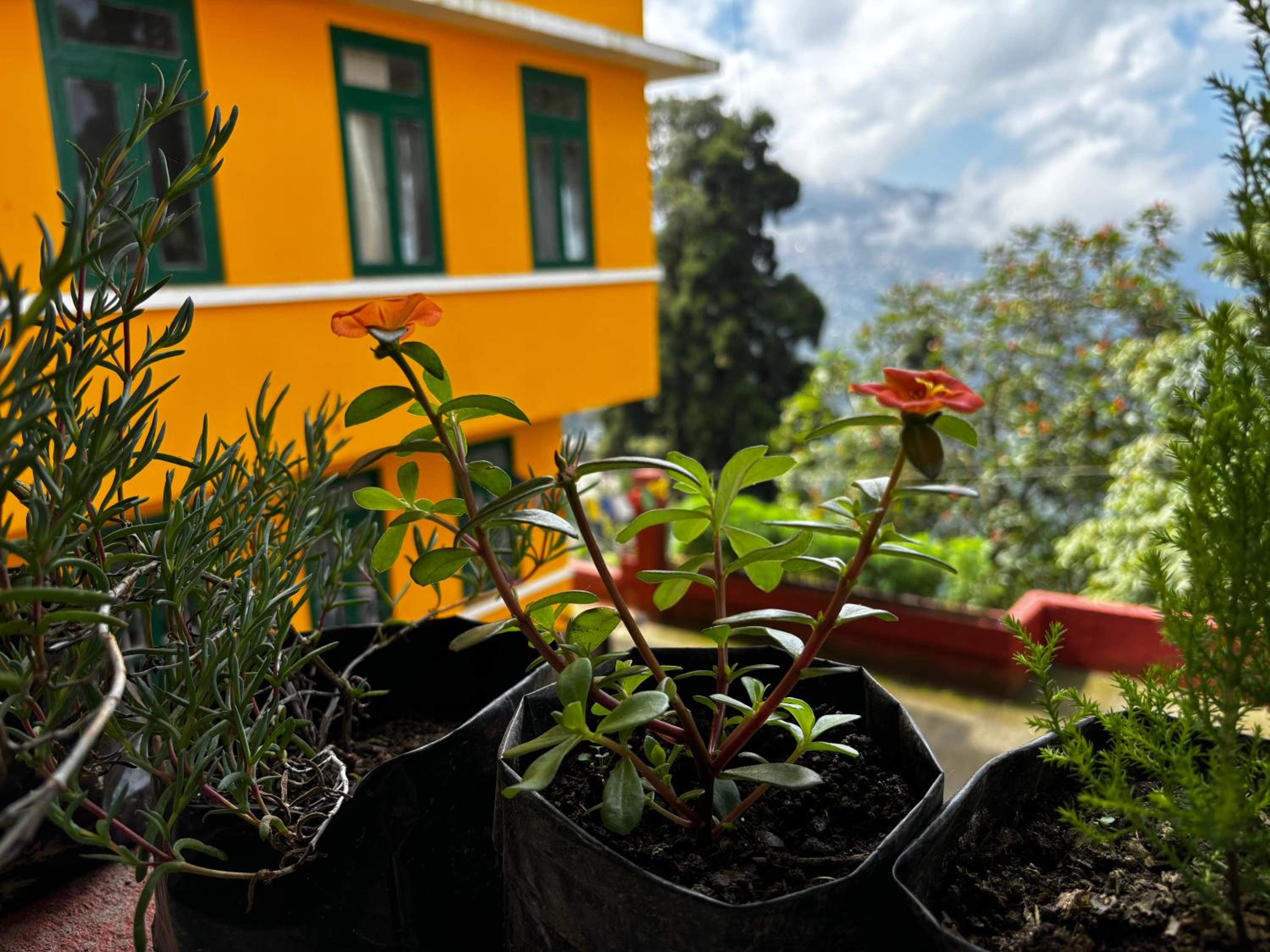 Asraya Homestay