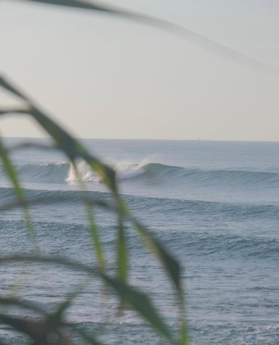 Surfside Madiha