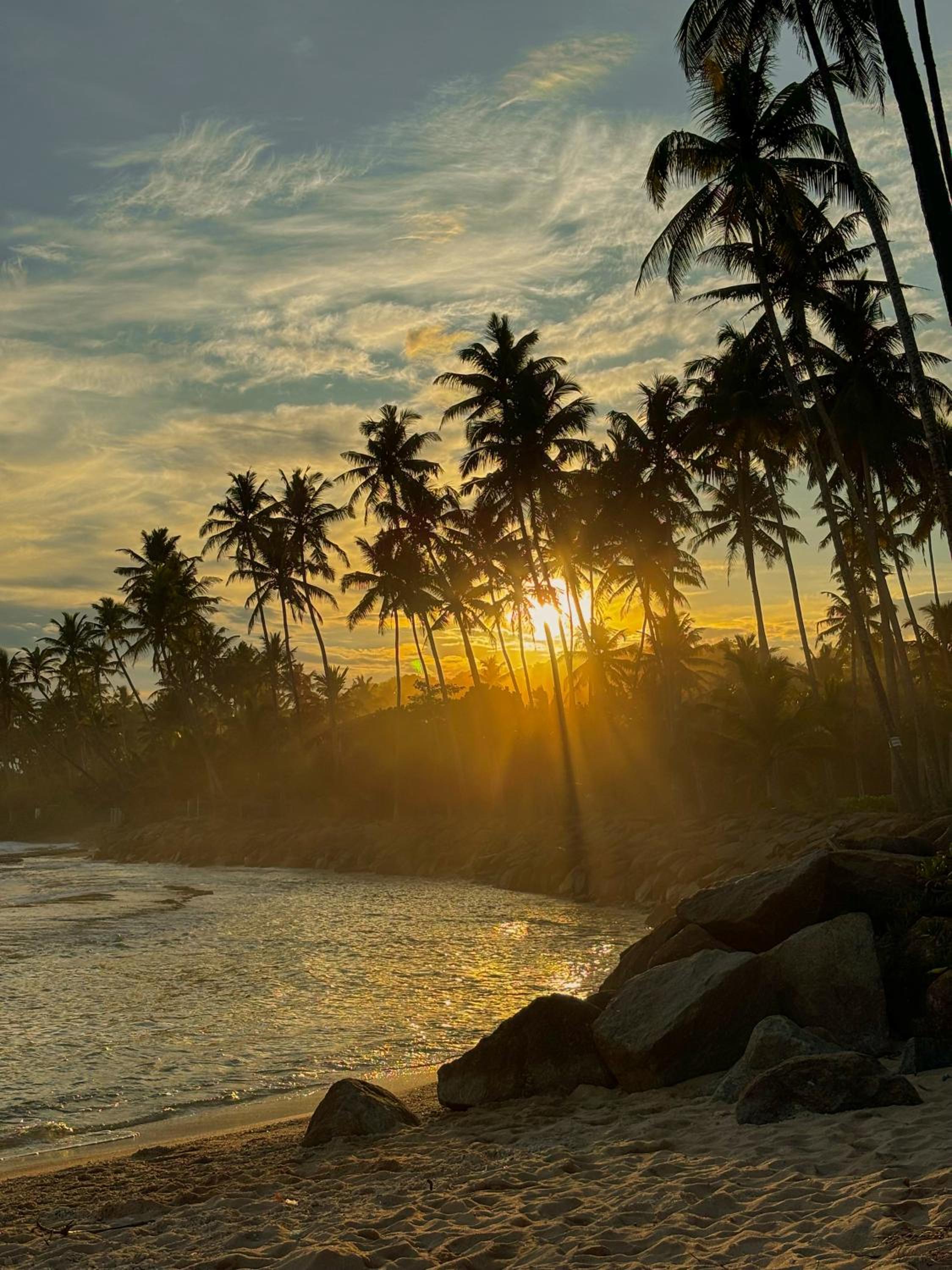 Surfside Madiha