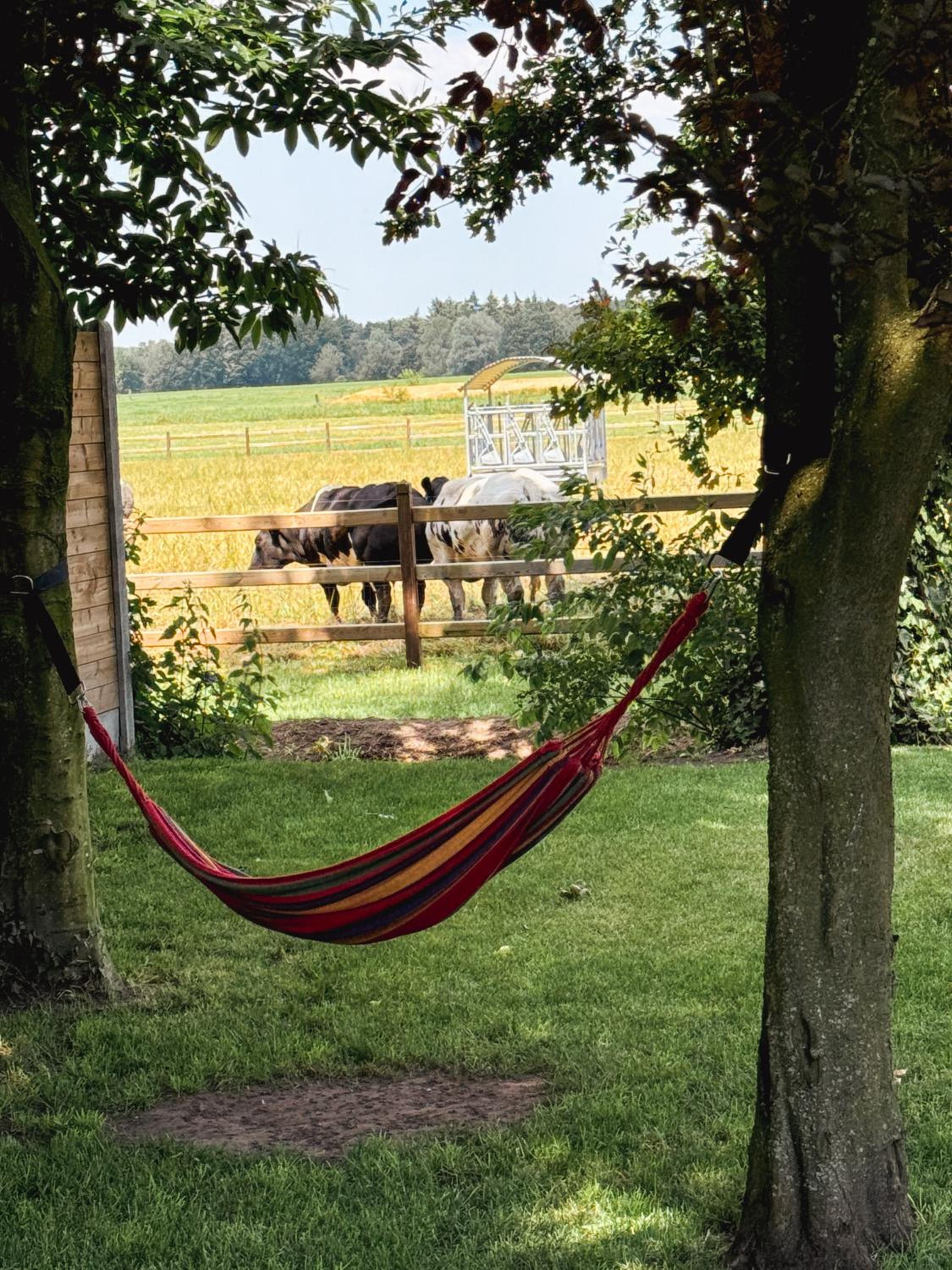 Kindvriendelijke vakantiewoning Happy Cow-ter