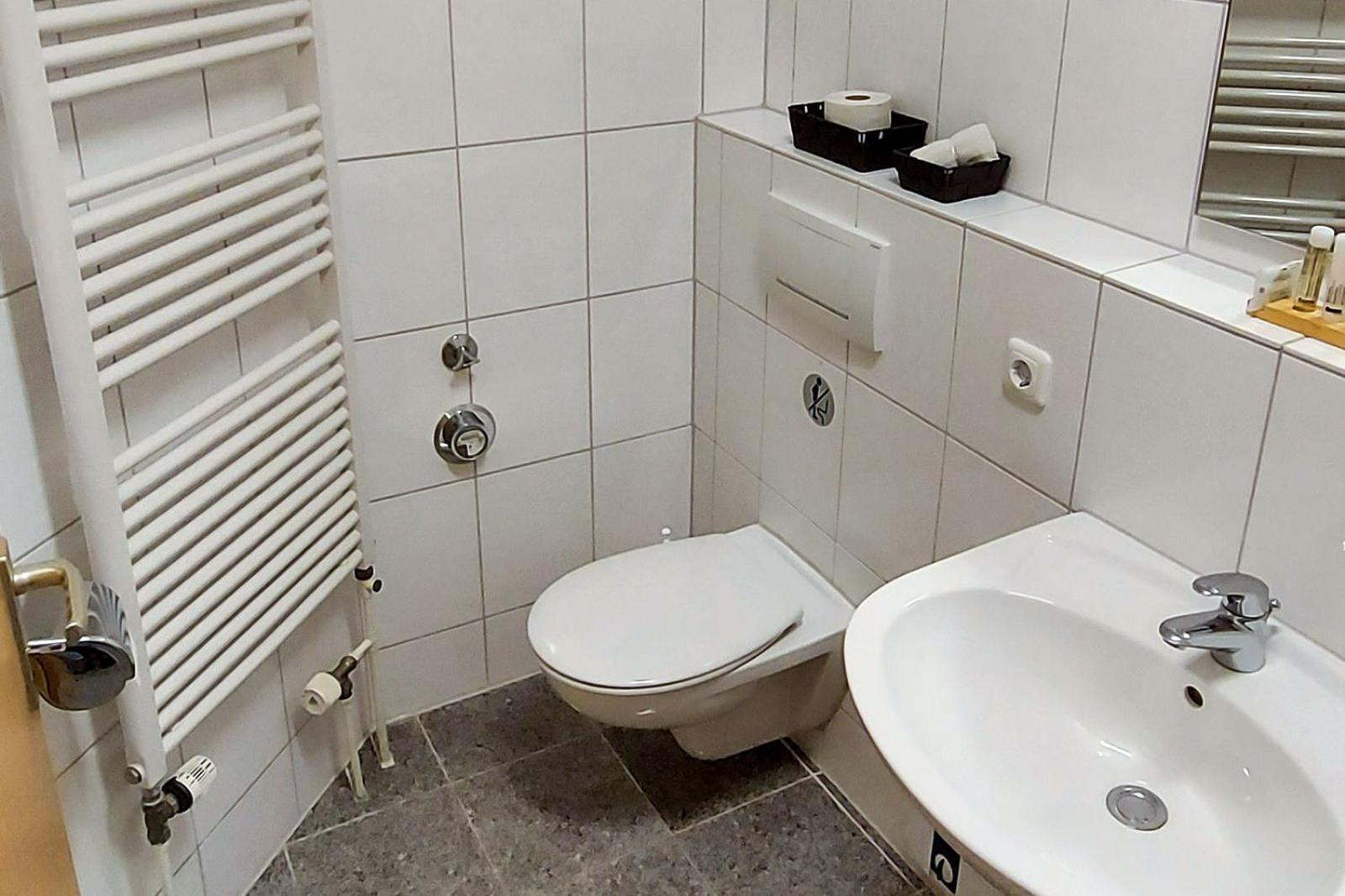 Duhner Deichmöwe 02 DM02