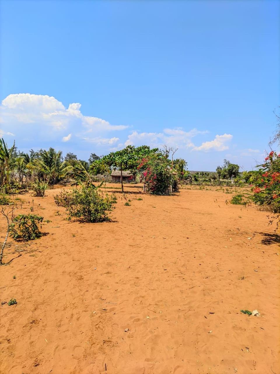 Bemaso plage view 2