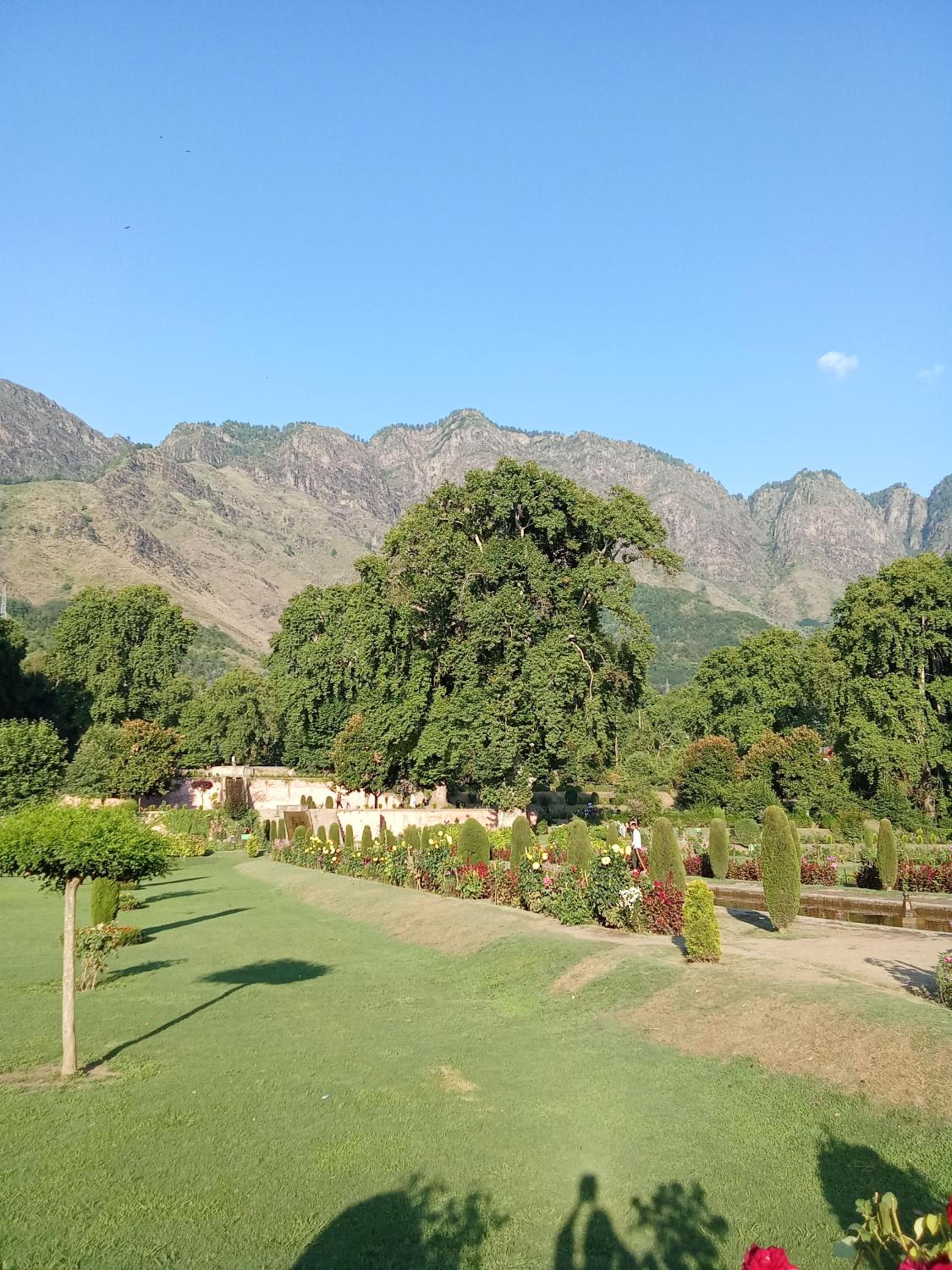 Saim Budget Friendly house view 2