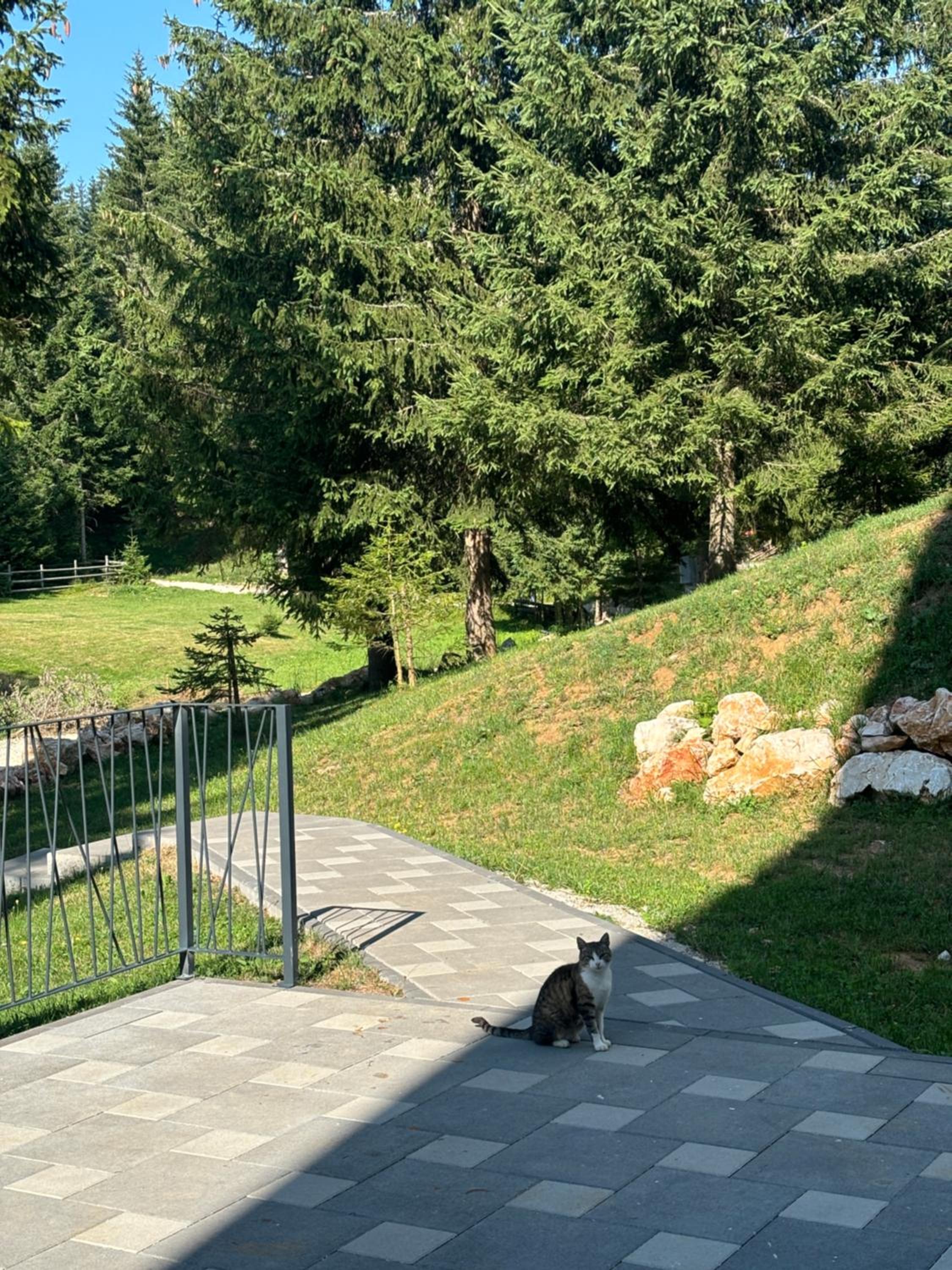 Harmony Peak Jahorina