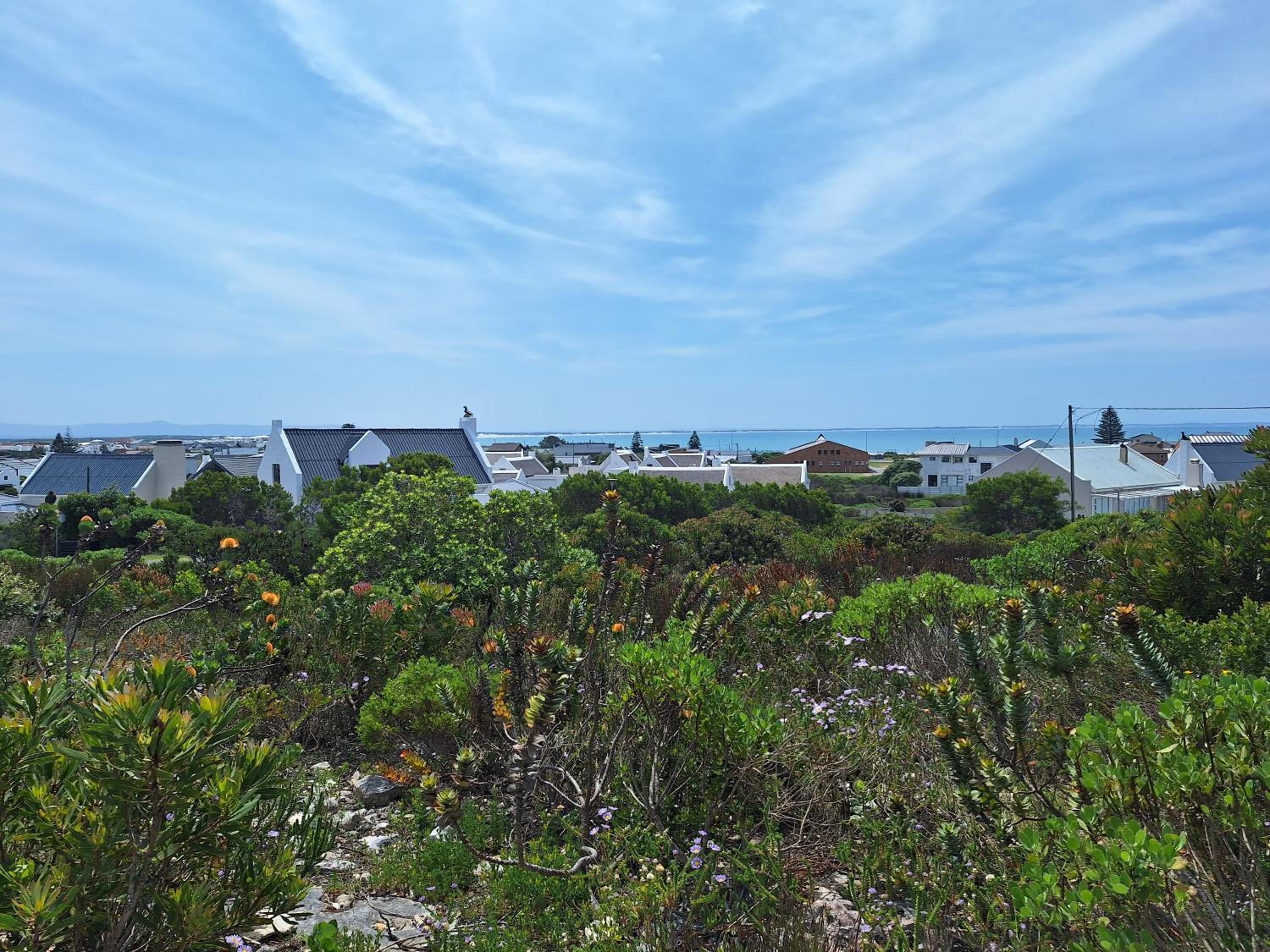 Strelitzia House