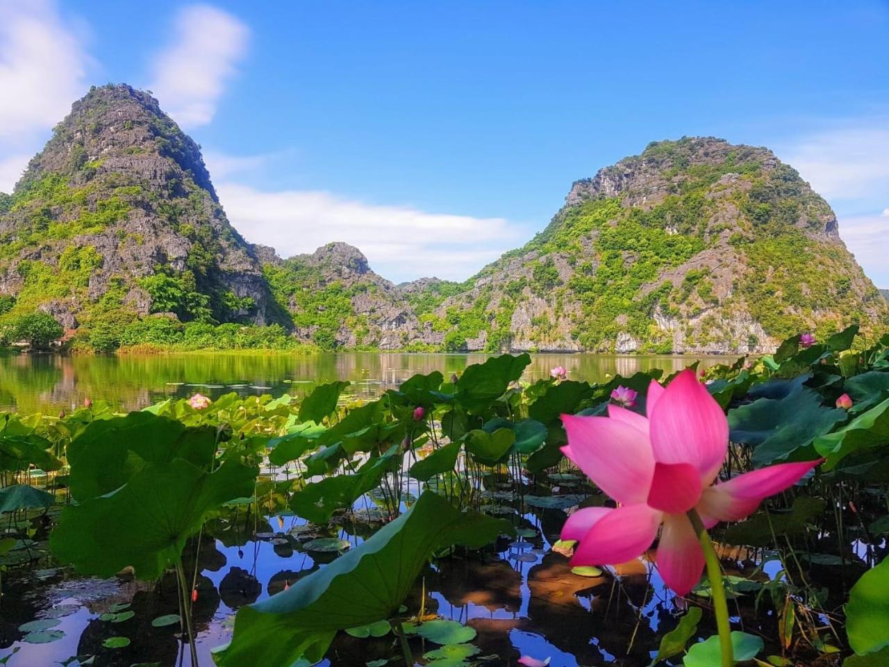 Trang An Lotus Lake Homestay view 3