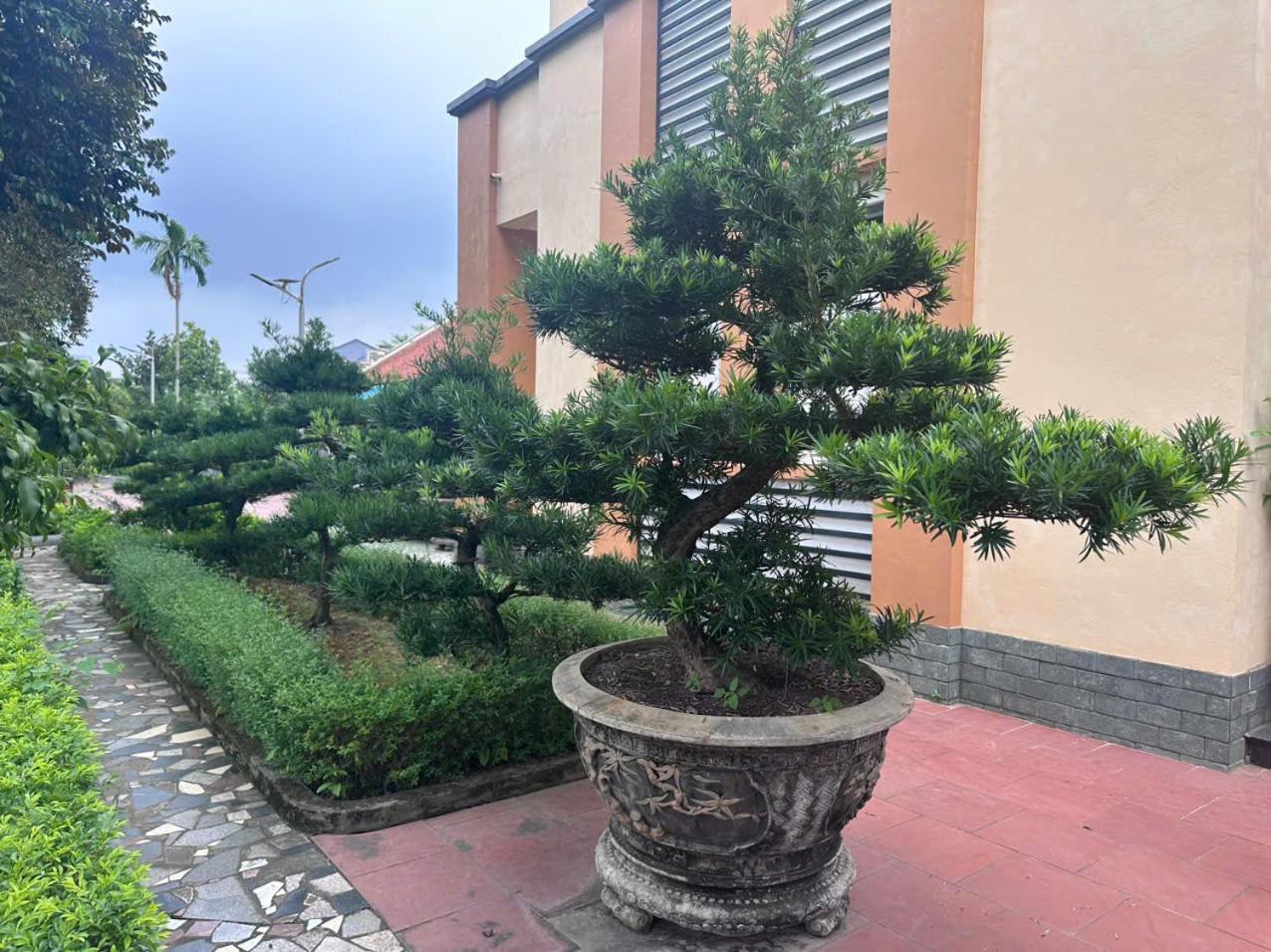 Sống cùng chủ nhà tại nhà vườn