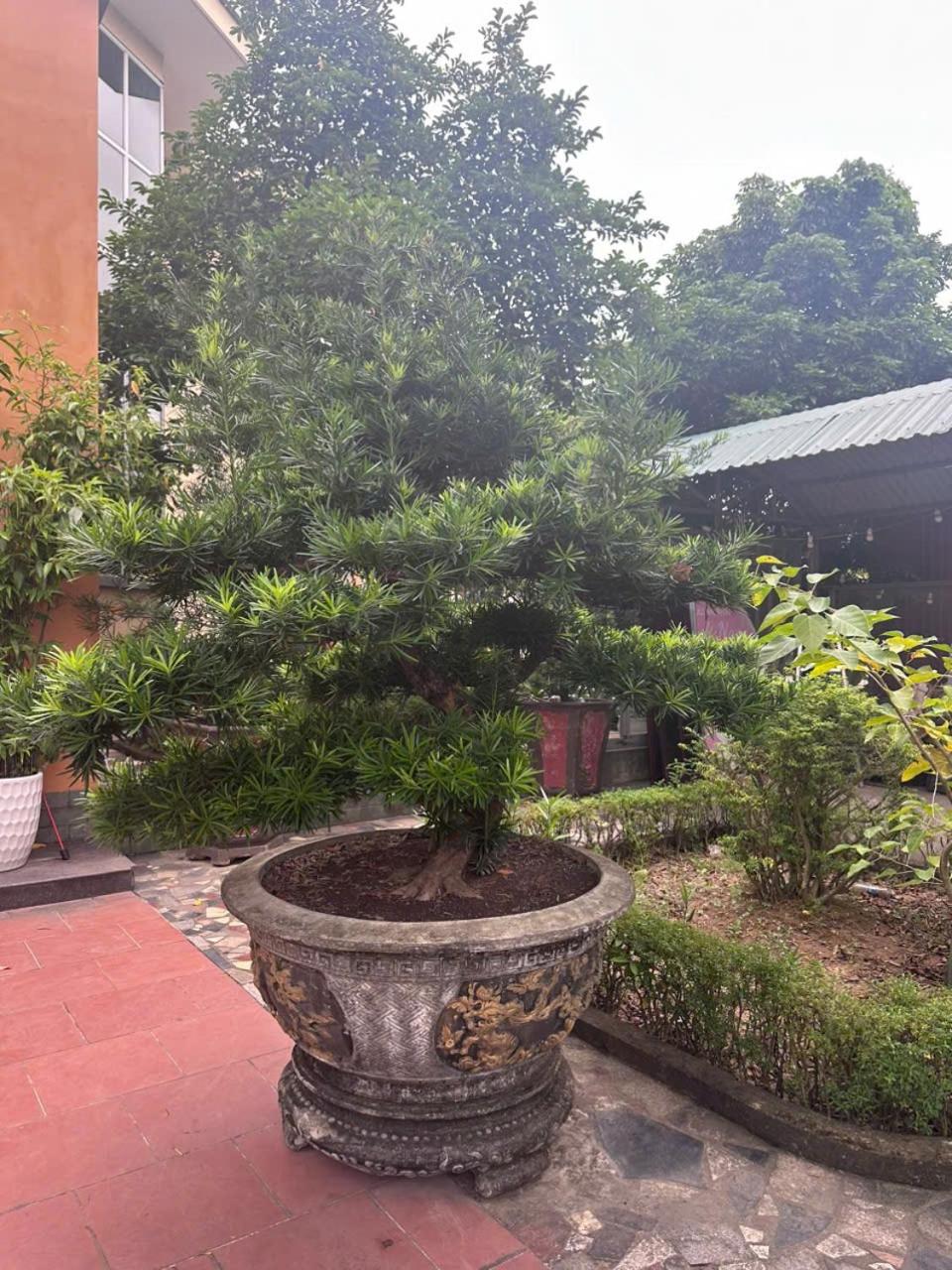 Sống cùng chủ nhà tại nhà vườn