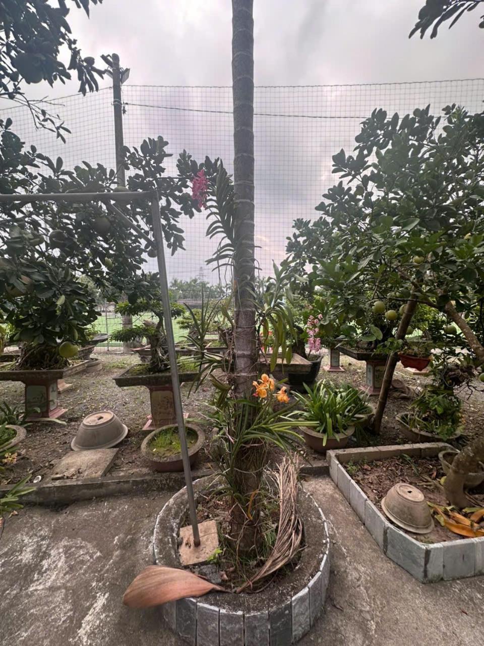 Sống cùng chủ nhà tại nhà vườn