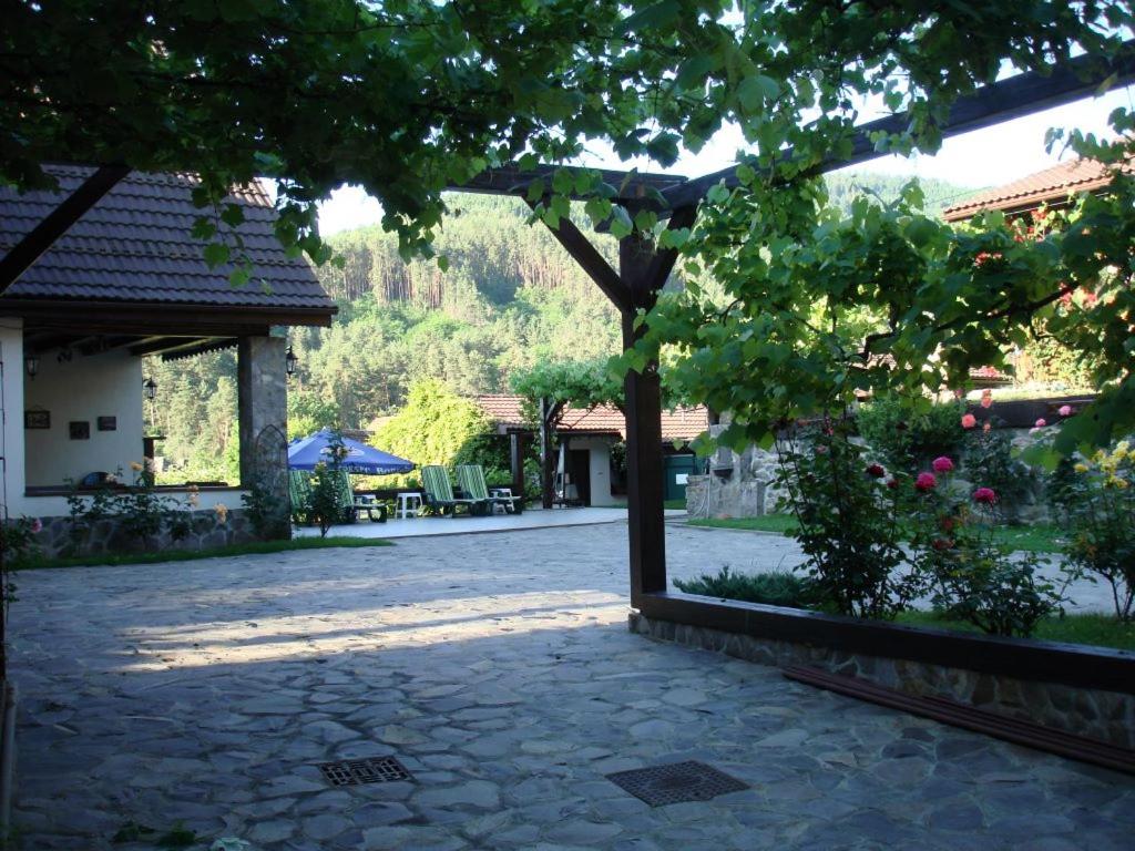Photo 10